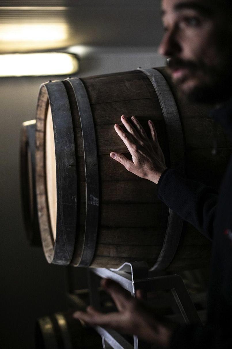 Agriturismo Bosco Longhino Santa Maria della Versa エクステリア 写真
