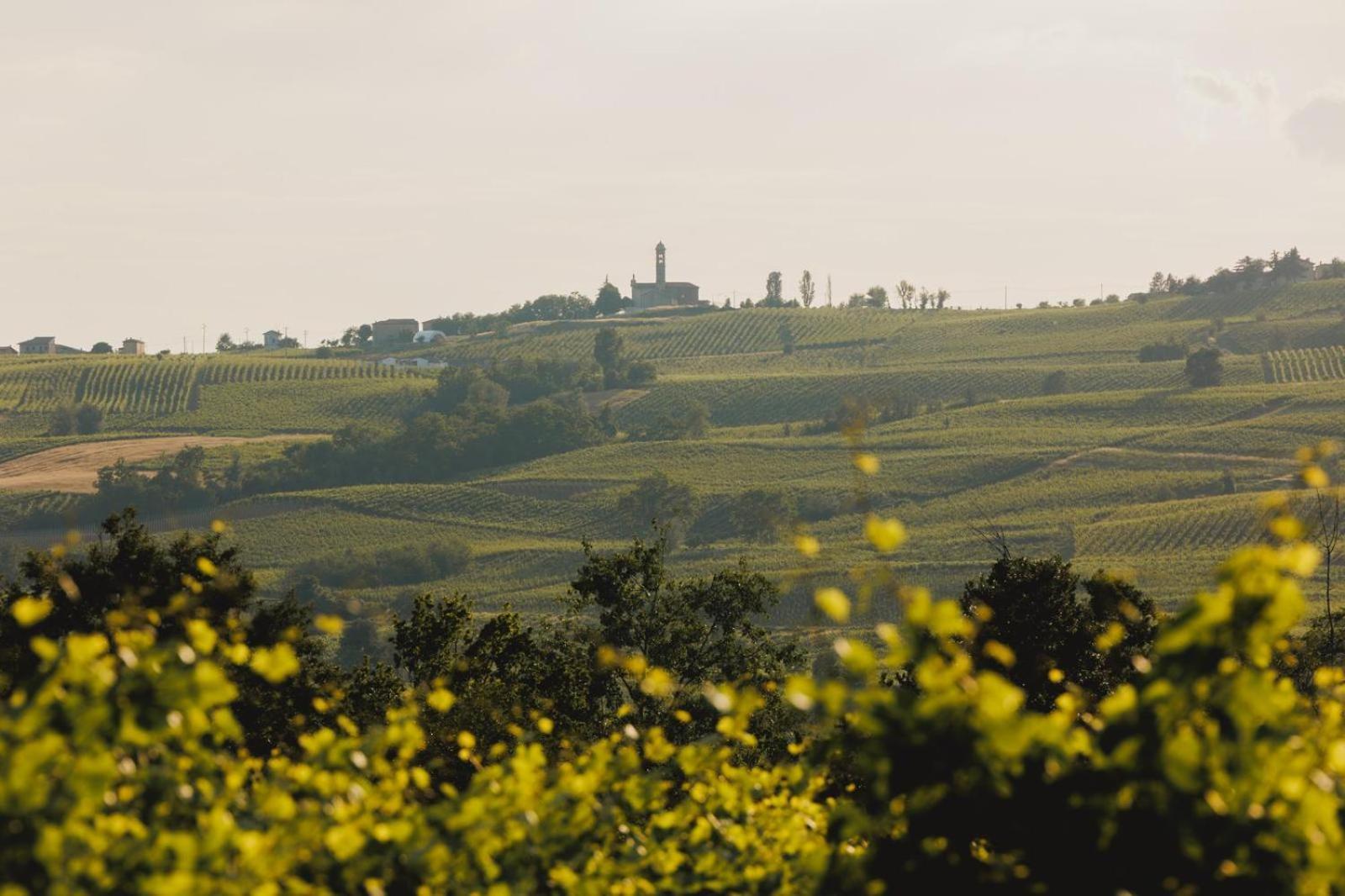 Agriturismo Bosco Longhino Santa Maria della Versa エクステリア 写真