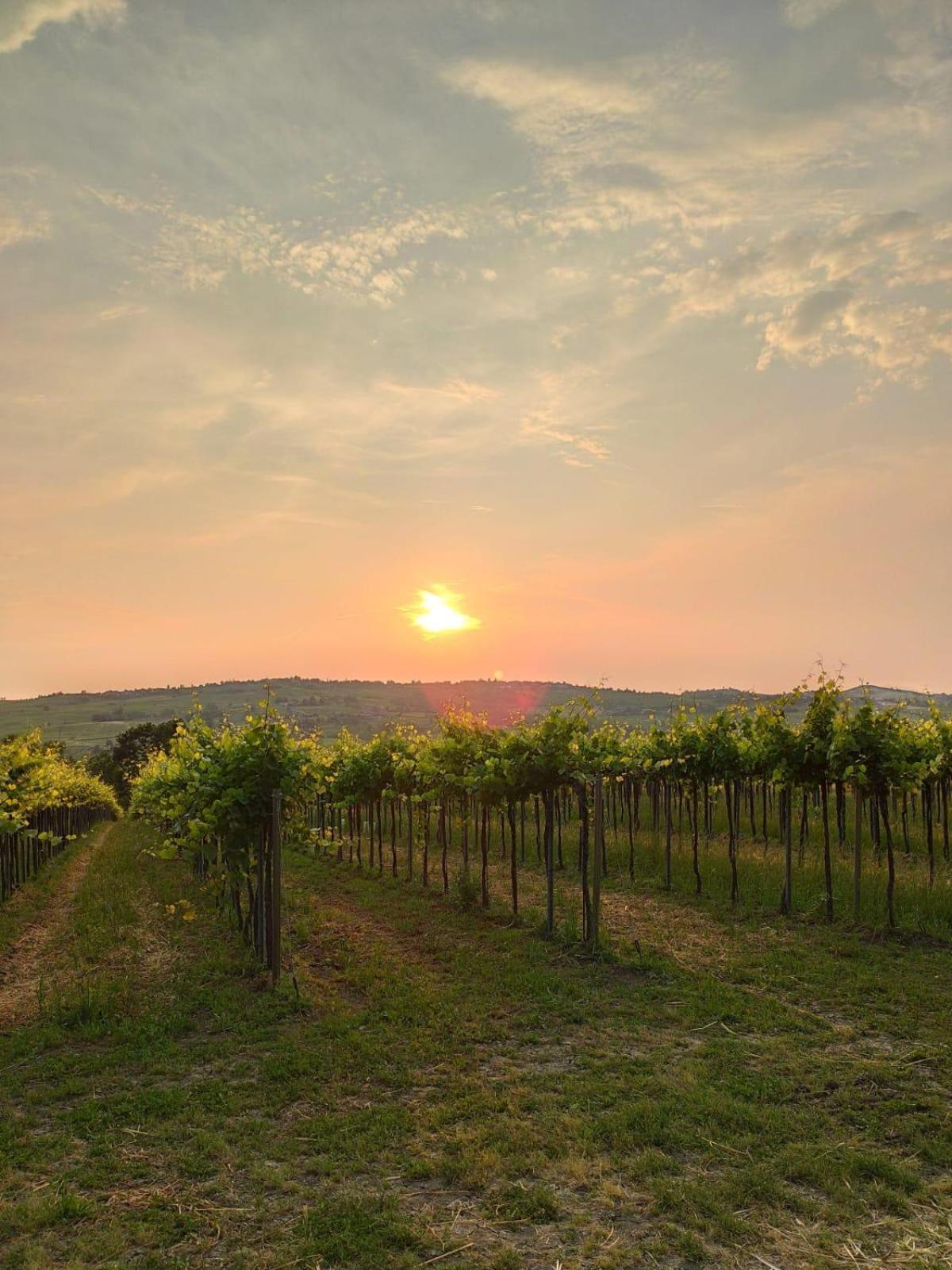 Agriturismo Bosco Longhino Santa Maria della Versa エクステリア 写真